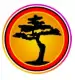 Bonsai